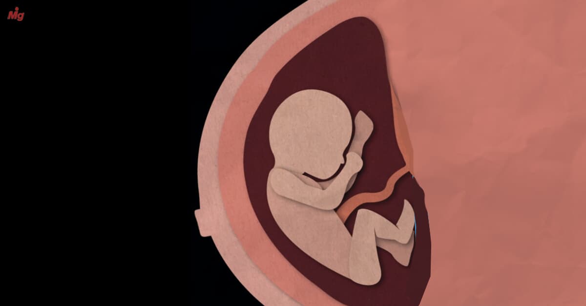 (Imagem: Arte Migalhas) (Imagem: Arte Migalhas)